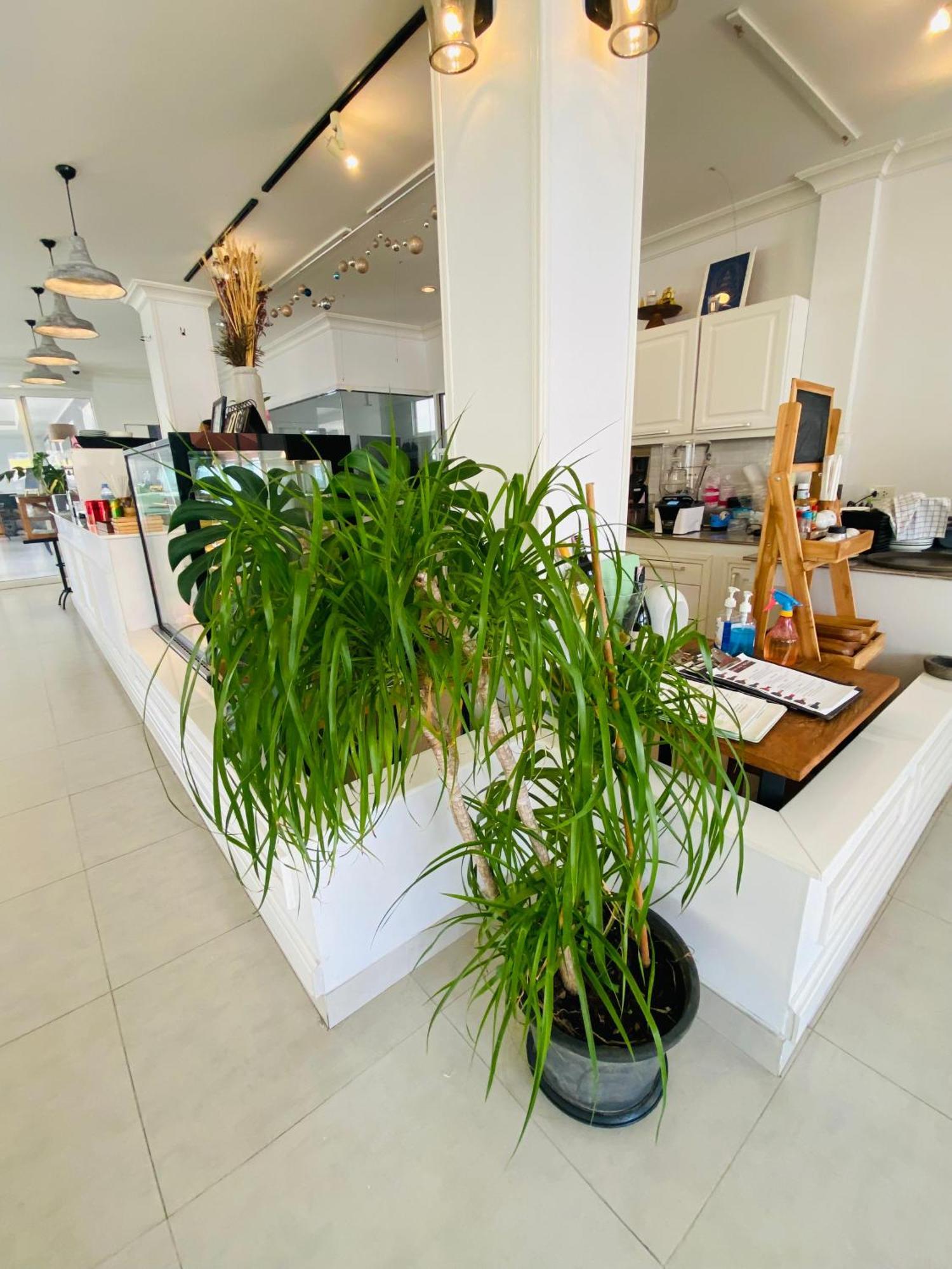 Forget Me Not Boutique Bed & Breakfast 후아 힌 외부 사진